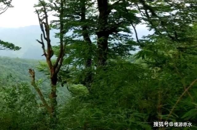 海贼船