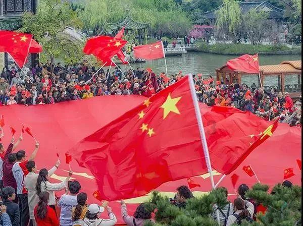 我养的植物发黄了？游戏画面